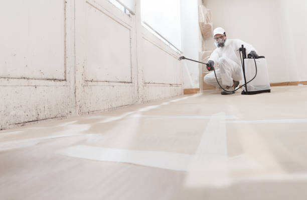 24/7 Emergency Commercial Mold Remediation experts in New Providence, NJ